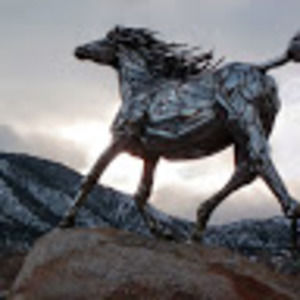 Meet your Posher, Skill images of